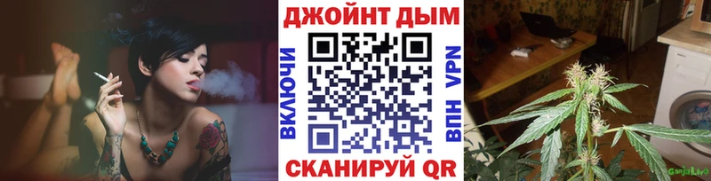Конопля сатива Нефтегорск